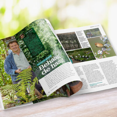 thumbnail voor Gardeners’ World magazine