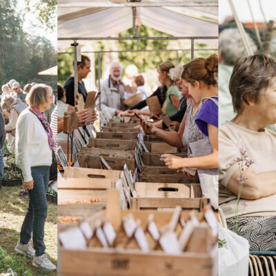 Impressie plantenmarkt