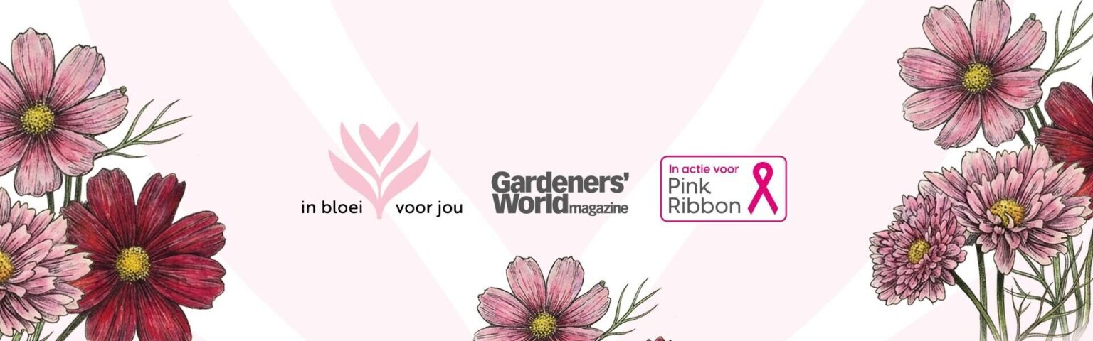 Cover voor Nederland en Vlaanderen kleuren roze: ‘In bloei voor jou’